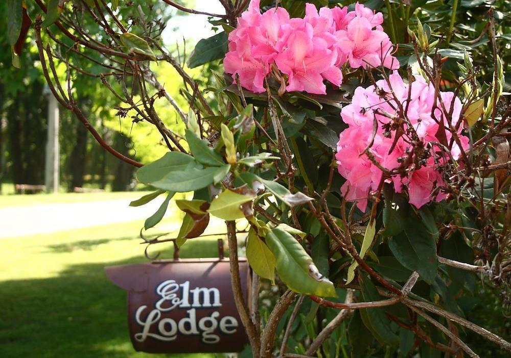 Elm Lodge Bright Exterior photo